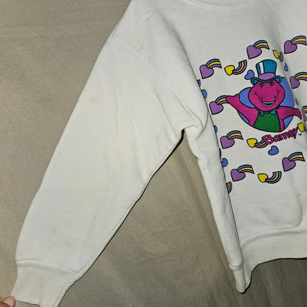 Vintage Barney Sweatshirt Crewneck Kids Size 5-6